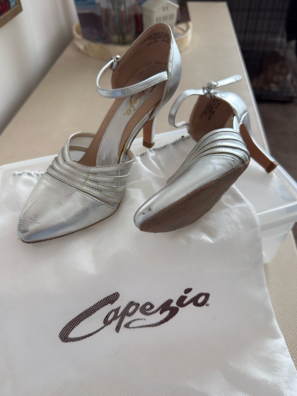 Capezio Metallic Silver Dance Heels